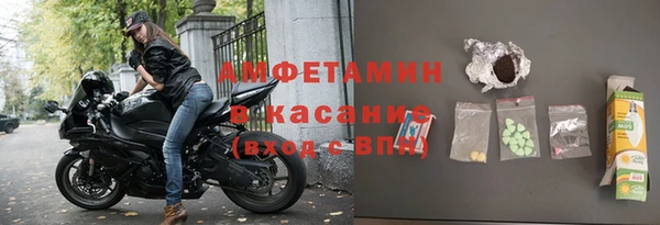 твердый Аркадак
