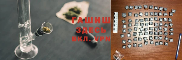 гашик Алексин