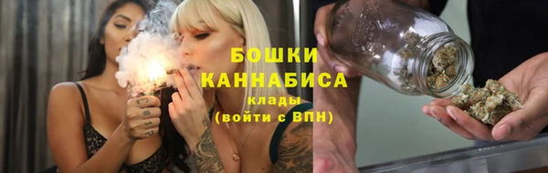 гашик Алексин