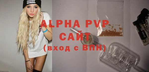 гашик Алексин