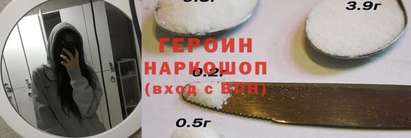 гашик Алексин