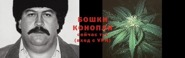 шишки Абаза