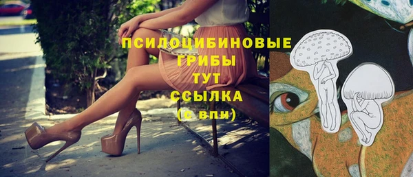 марки nbome Алексеевка