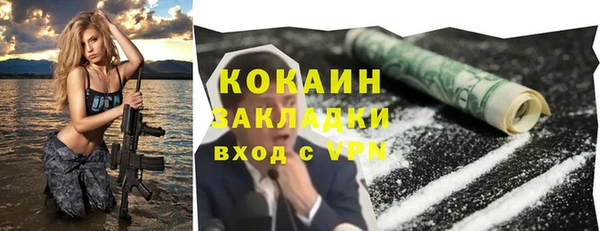 твердый Аркадак