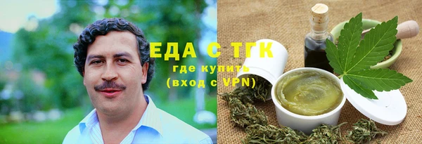 гашик Алексин