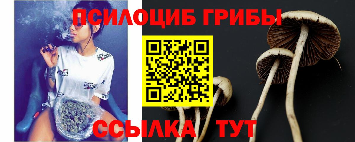 Ступино  Псилоцибиновые грибы мицелий  закладки  Вход с VPN 