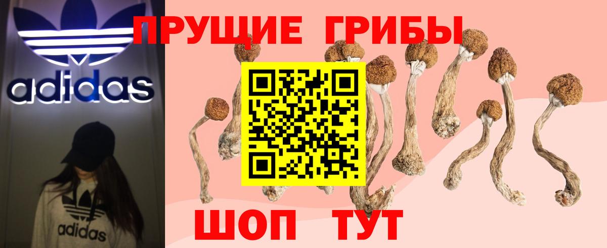 Псилоцибиновые грибы GOLDEN TEACHER Ступино