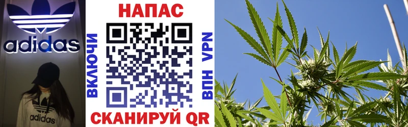 купить наркотики сайты  Ступино  МАРИХУАНА OG Kush 